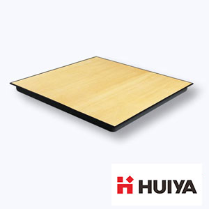 Anti-static Raised Floor Panel