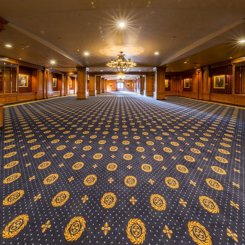 Custom Hotel Fabric Nylon Printed Sisal Suede Carpet
