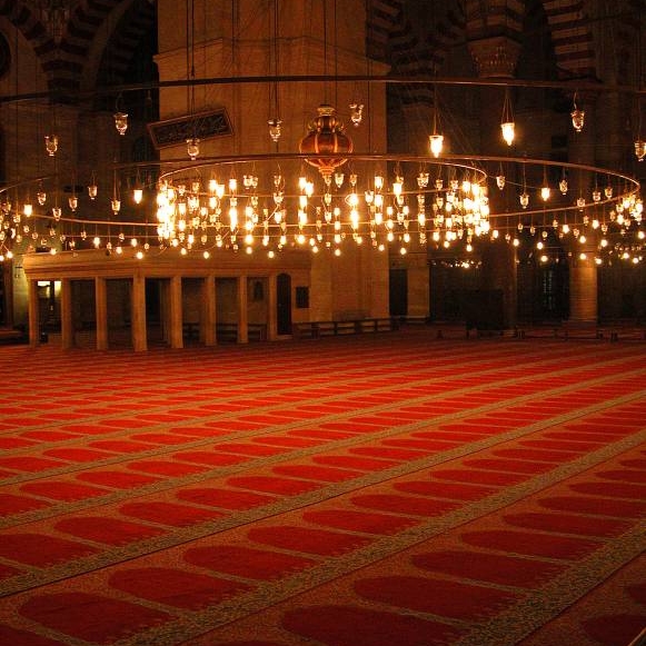 Hand Tufted High Export Quality Carpet For Event