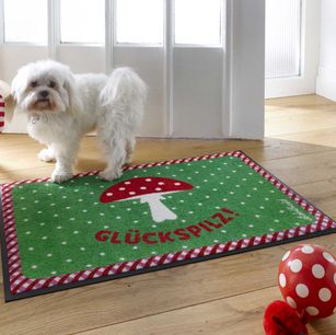 Funny Doormat  Entrance Floor Mat Doormat Machine W Fluffy Carpets And Rugs Living Room