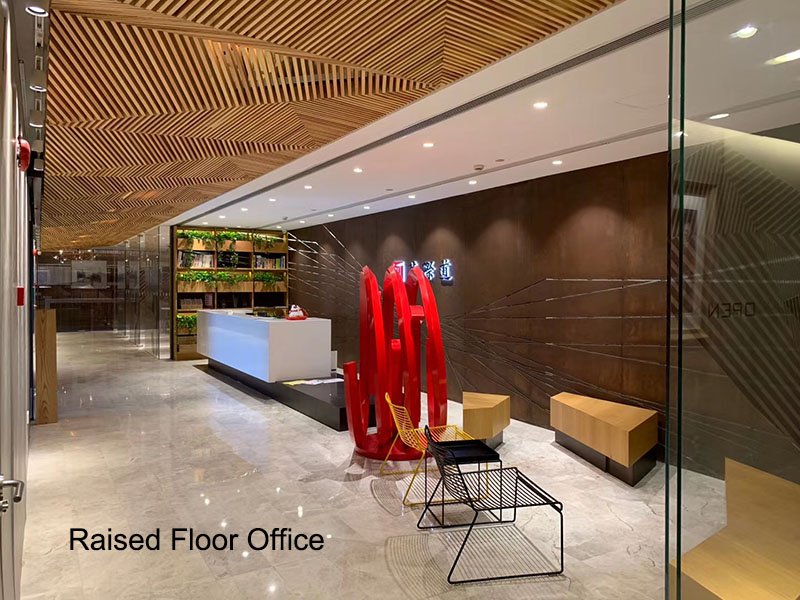 Raised Floor Office.jpg