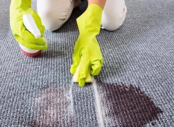 How To Remove Stubborn Stains From Commercial Carpet Tiles | Carpet Stains Cleaning Guide