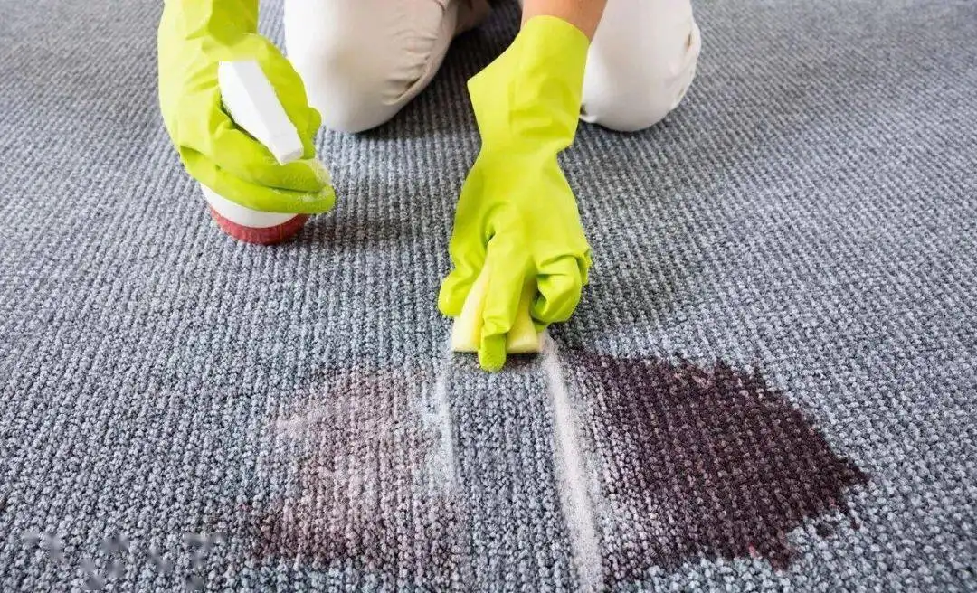 Commercial Carpet Stains Cleaning Guide.png